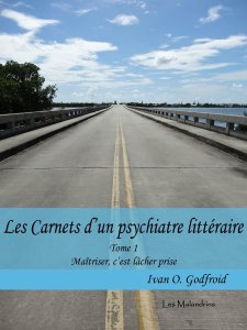 Les Carnets d'un psychiatre littéraire. Tome 1. Maîtriser, c'est lâcher prise