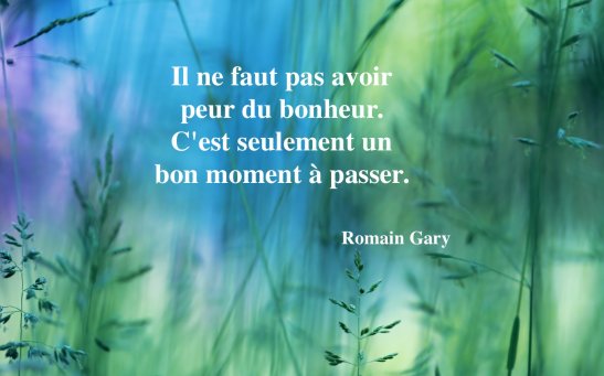 Romain Gary